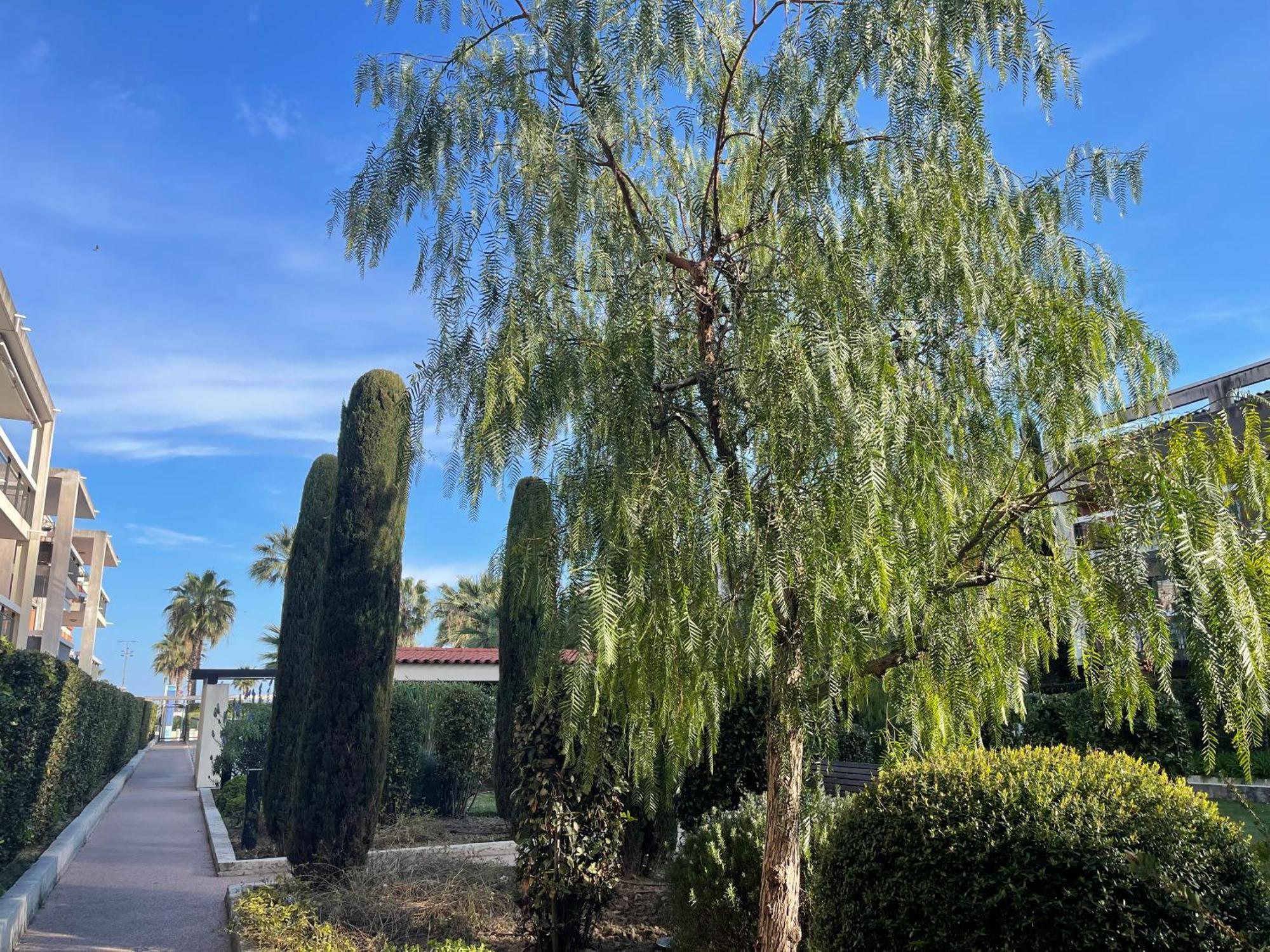 Appartement Loubet Plage- Entre Et Cannes