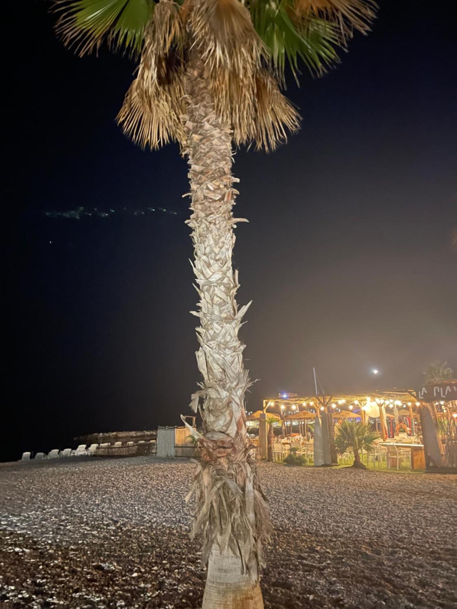 Loubet Plage- Entre Et Cannes Appartement