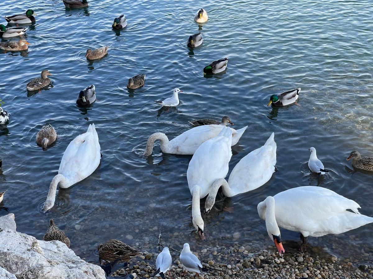 Loubet Plage- Entre Et Cannes