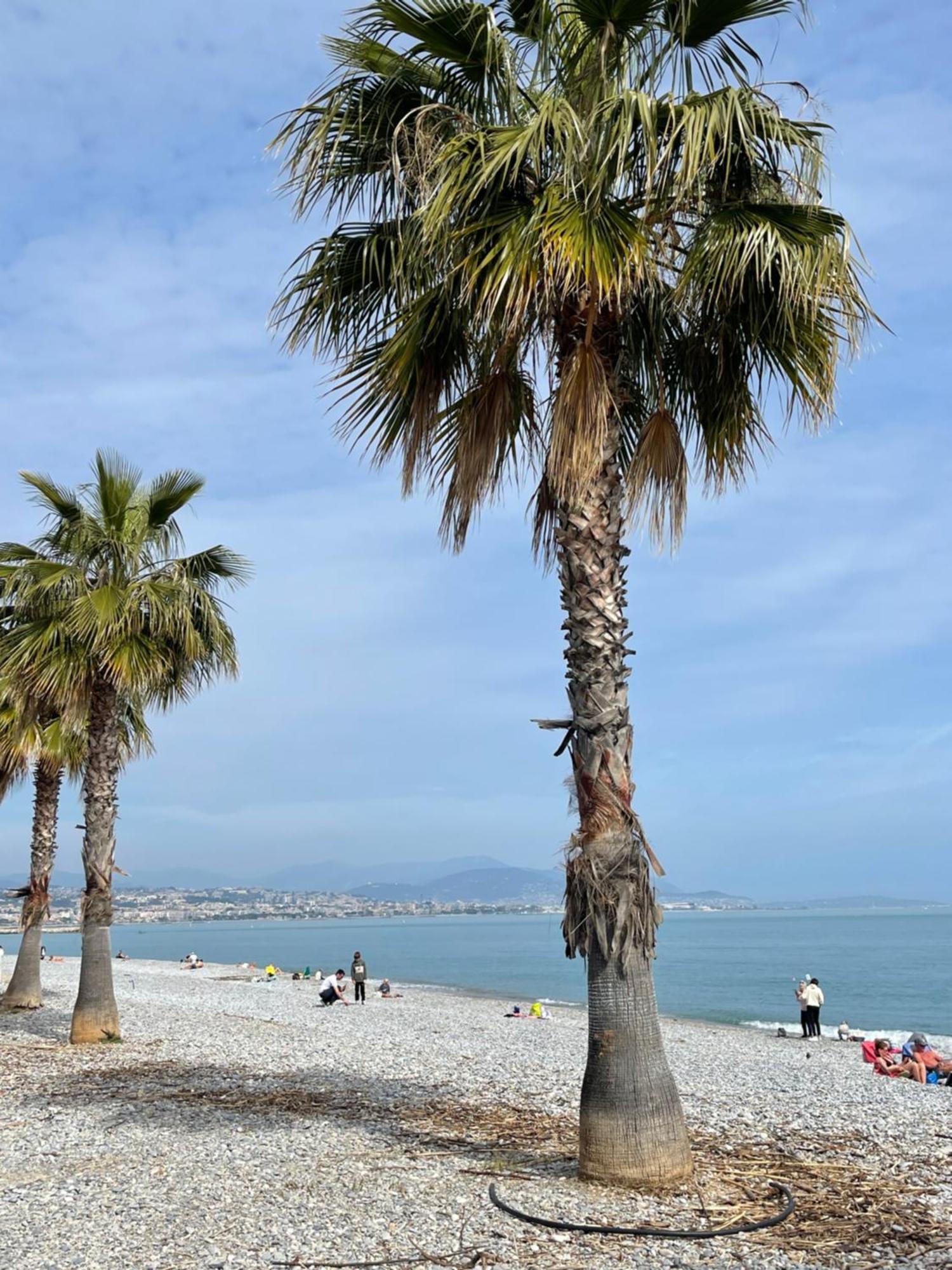 Loubet Plage- Entre Et Cannes *