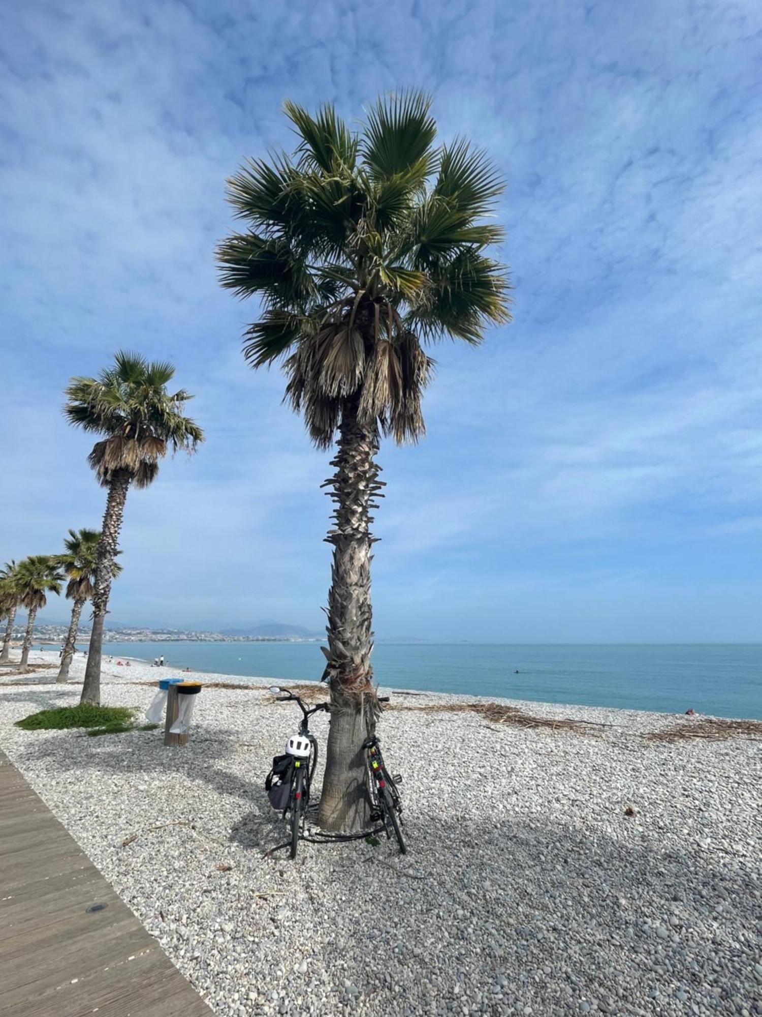 Loubet Plage- Entre Et Cannes Apartment Villeneuve-Loubet