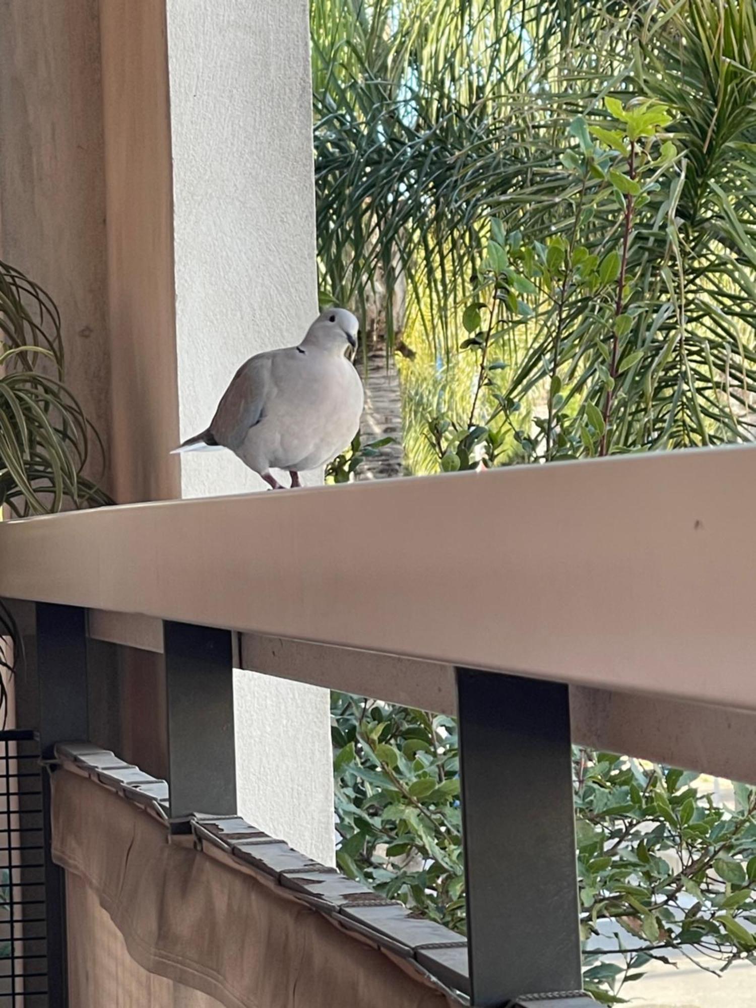 Apartment Loubet Plage- Entre Et Cannes