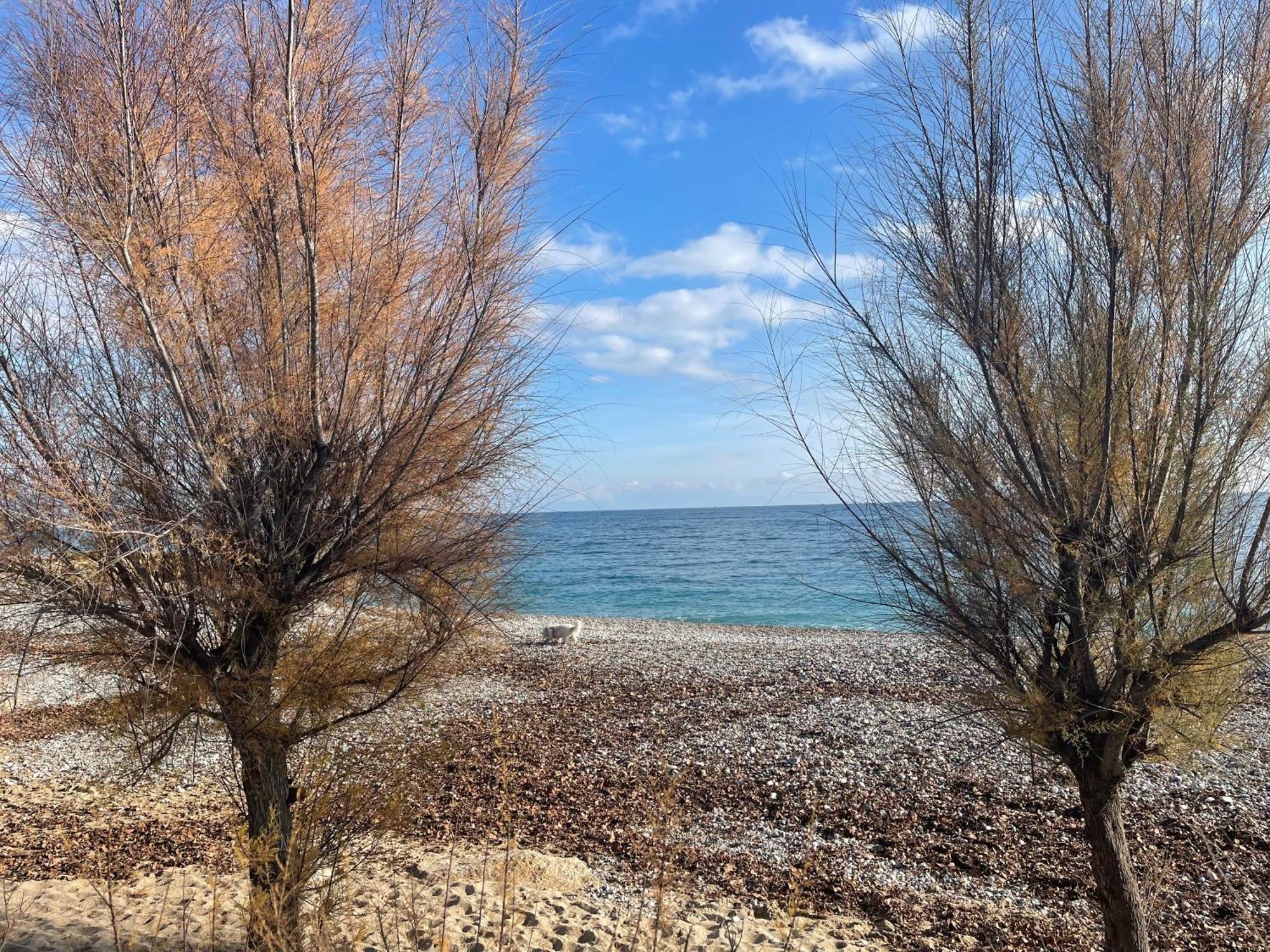 Loubet Plage- Entre Et Cannes Apartment Villeneuve-Loubet